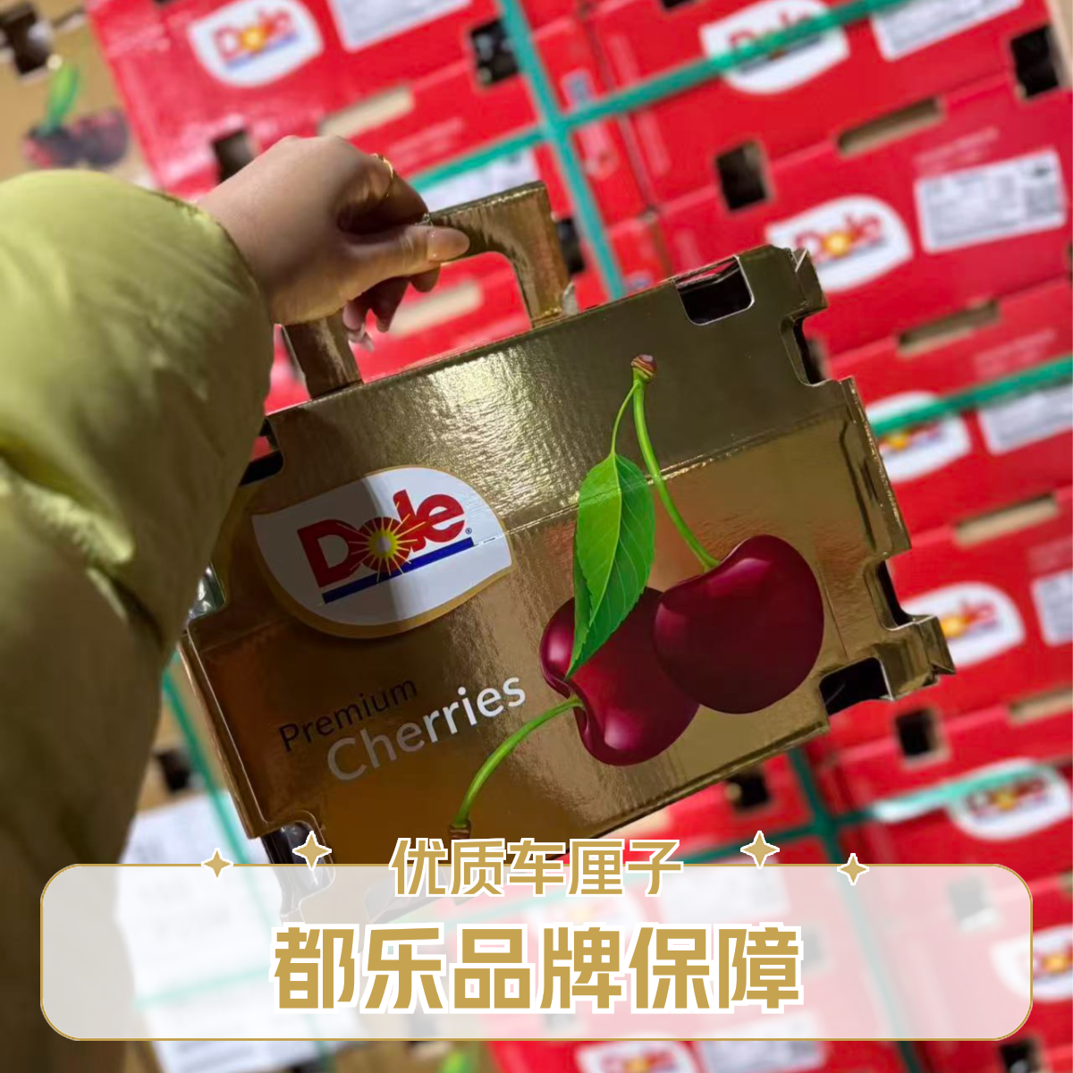 （金都乐）北京小时达Dule智利空运车厘子桑提娜金都乐礼盒装1.6斤原箱5斤4JD内附果径卡桑提娜智利