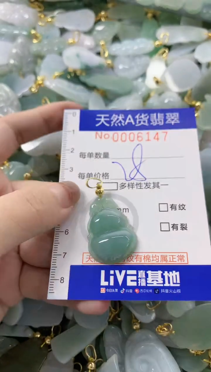 颈饰未镶嵌翡翠天然A货翡翠
