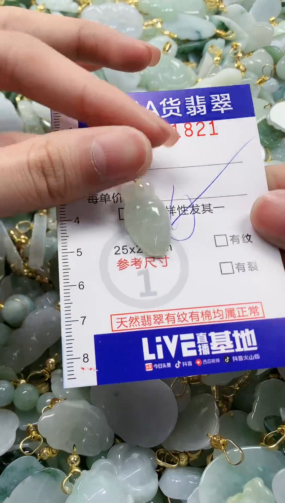 颈饰未镶嵌翡翠纯天然a货翡翠