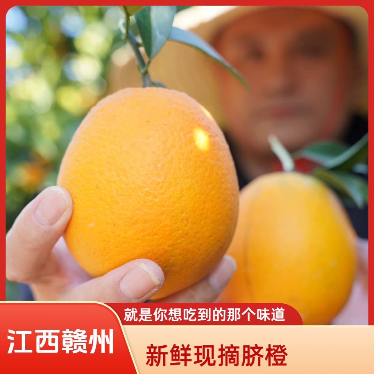正宗江西赣南脐橙 4.5斤9斤装果园现摘现发 新鲜爆甜多汁孕妇水果