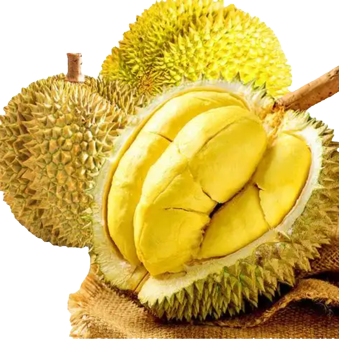 小源次日达）金枕鲜榴莲3-6.5斤核小榴莲同城送金枕泰国东部