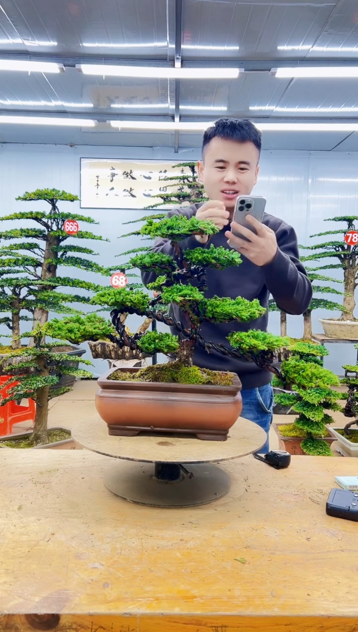 无花朵0000000000000000000000