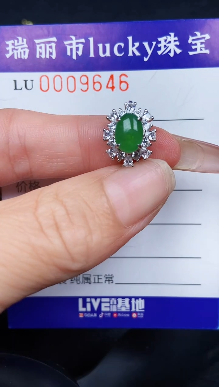 翡翠银S925镶嵌颈饰9646