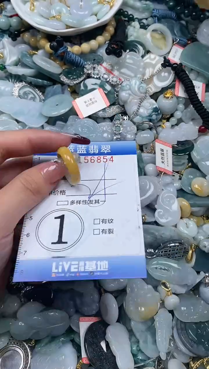 【闪购商品】翡翠颈饰未镶嵌闪购0156854