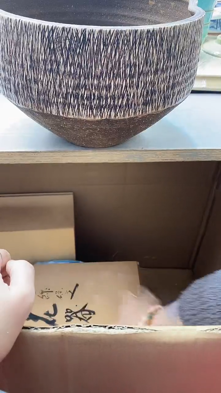 瓷片我**看1117瓷片瓷片瓷片瓷片