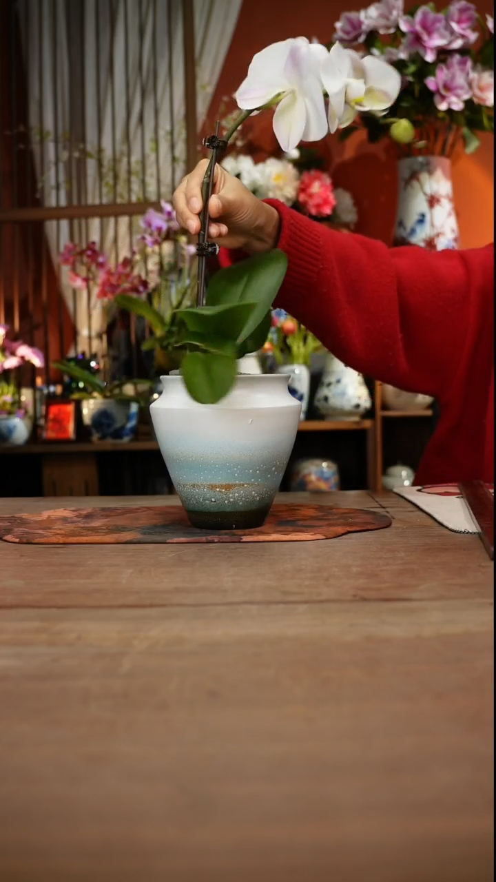 当代高温釉下彩手绘陶瓷餐具