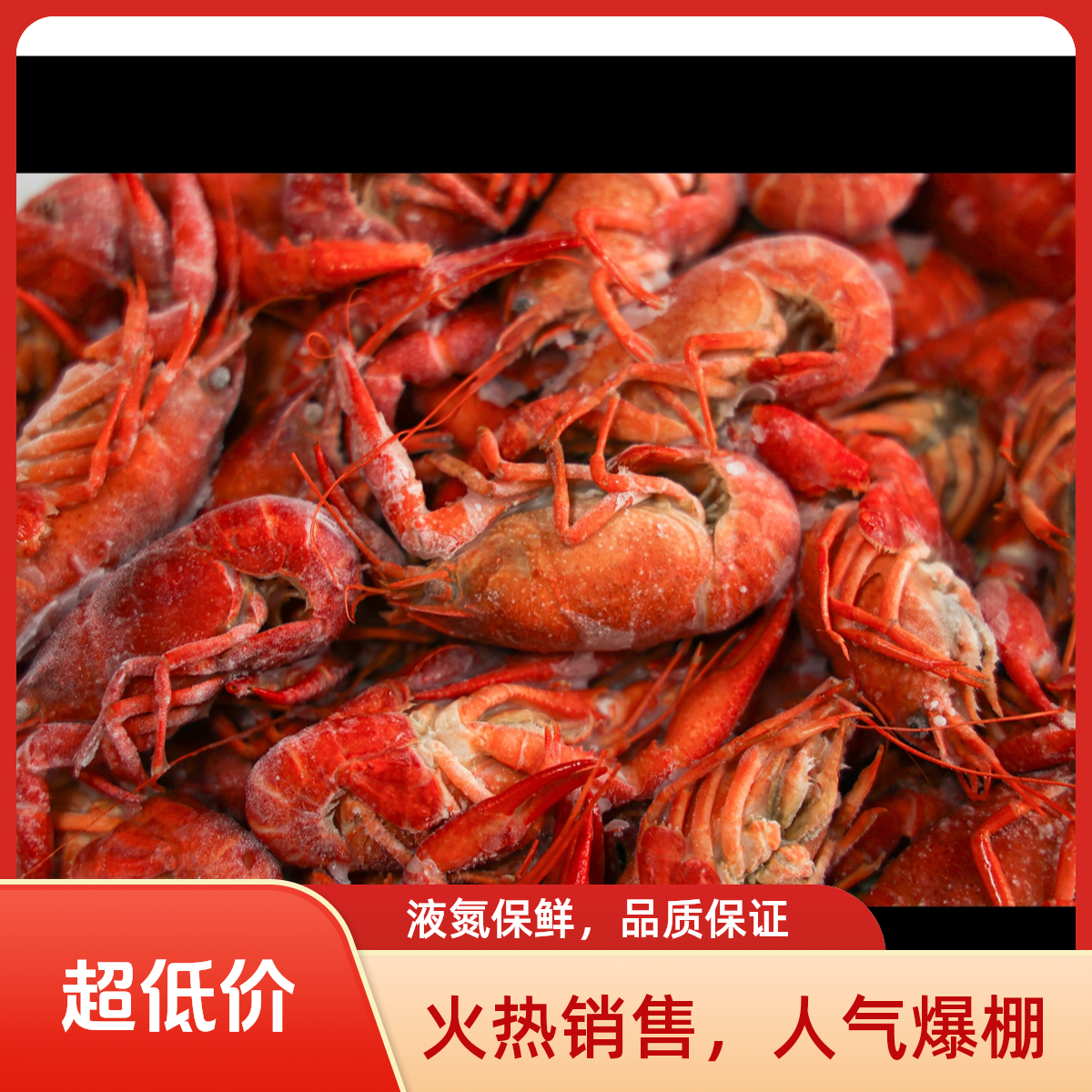 潜江小龙虾 液氮清水虾 稻田养殖营养干净商用超划算夜宵摆摊好吃