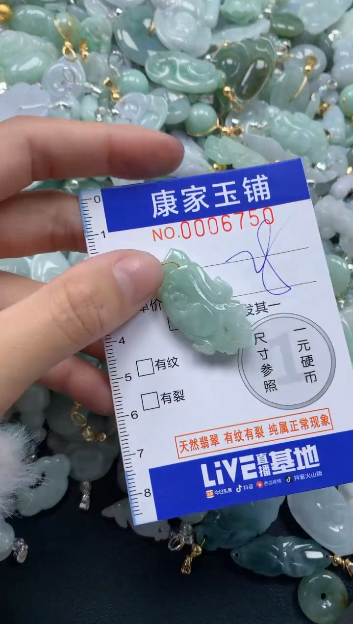 颈饰未镶嵌翡翠6750