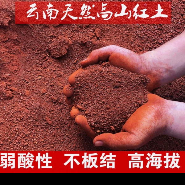 云南天然弱酸性红土颗粒营养土茶花茉莉花养龟专用土