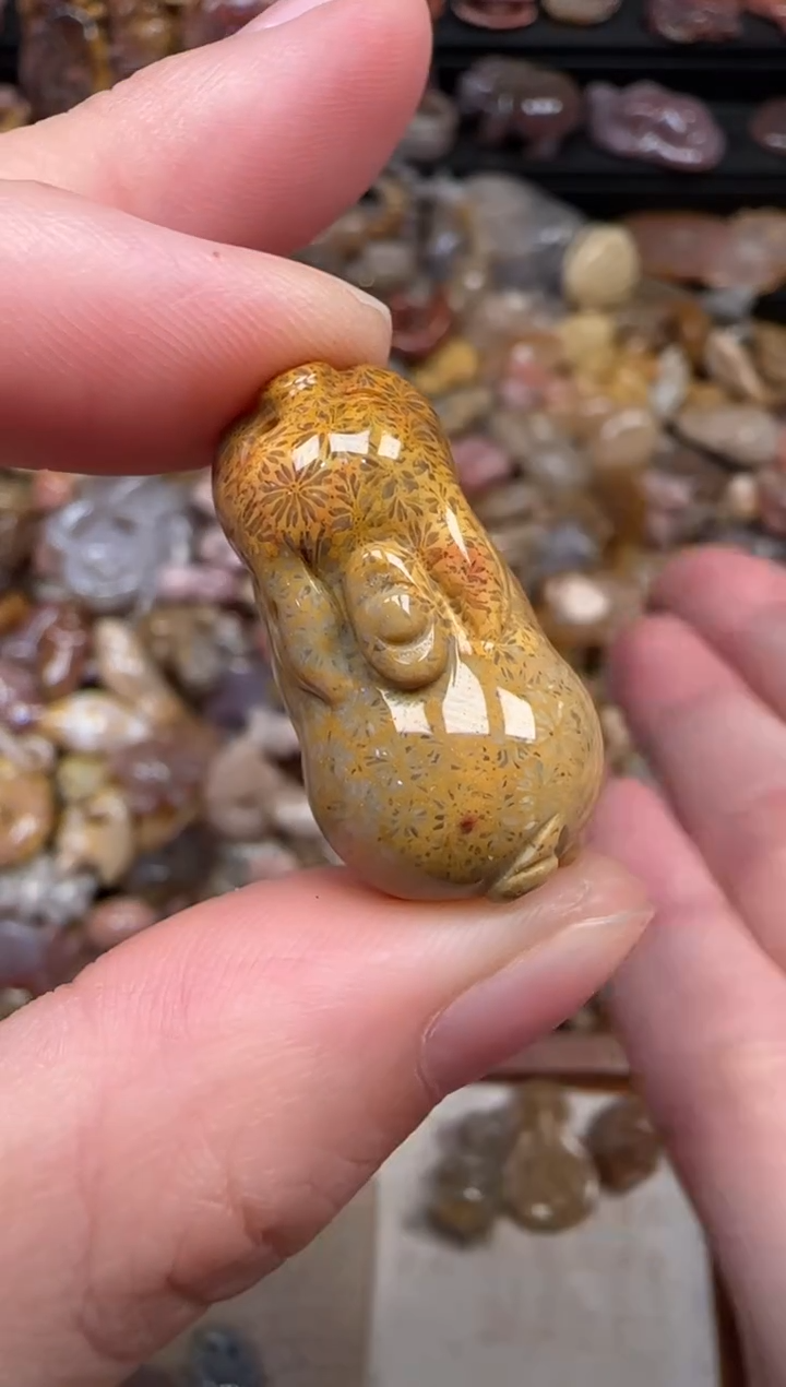 颈饰未镶嵌硅化珊瑚（珊瑚玉）613