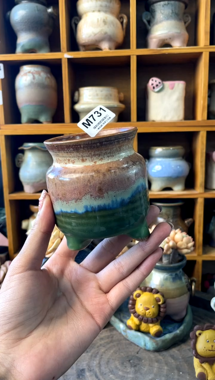 731内口6.5【多肉花盆多肉盆】