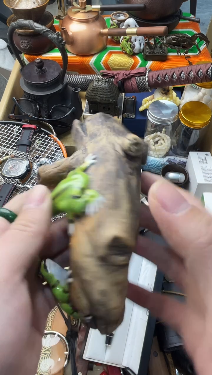 【闪购商品】瓷片嘉荣当康8号铺