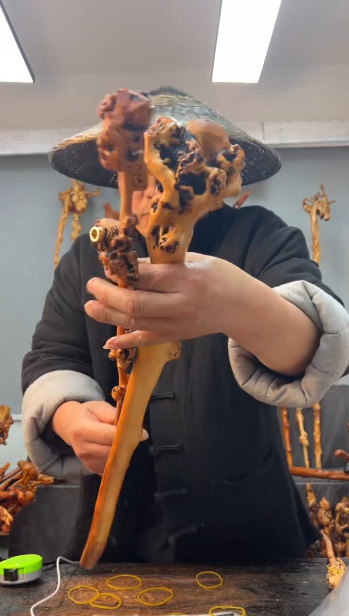 【闪购商品】黑果木其他黑果木649