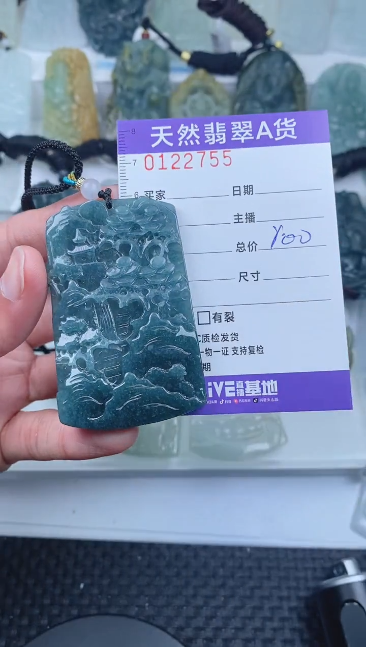 【闪购商品】翡翠颈饰未镶嵌        755