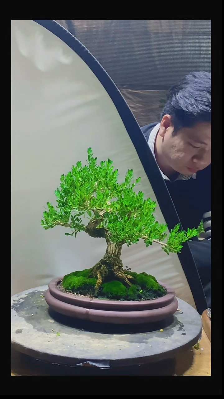 完全开放兴**楼0000000000