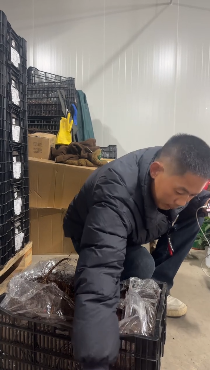 老****女老母亲找儿女   78  绿联