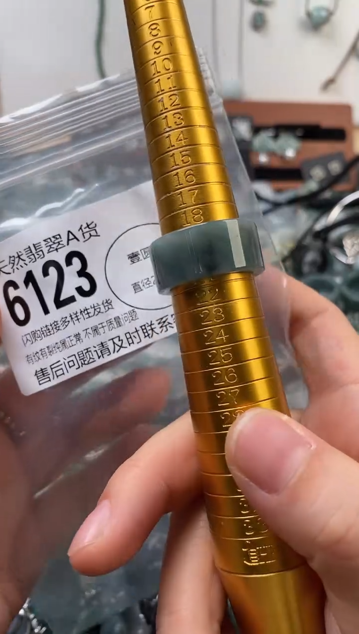 颈饰未镶嵌翡翠翡翠6123