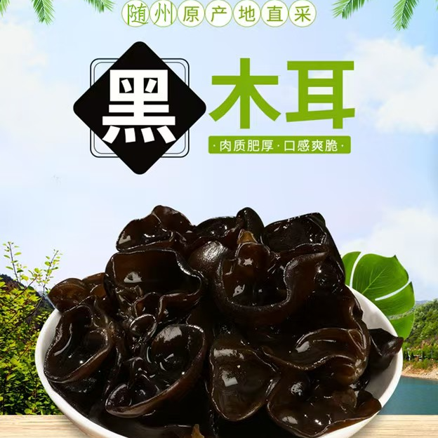 深山生长鲜木耳250g/500g （可试吃不满意包退）