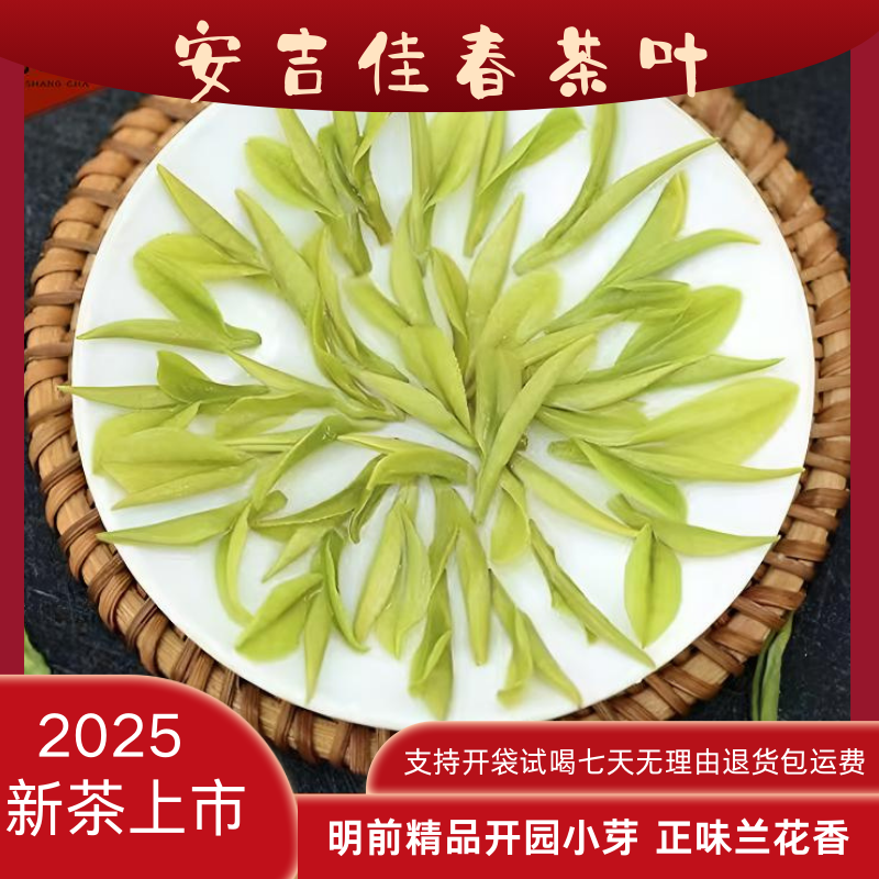 【佳春茶业明前精品小芽A5】2025安吉核心产区开园小芽正味兰花香