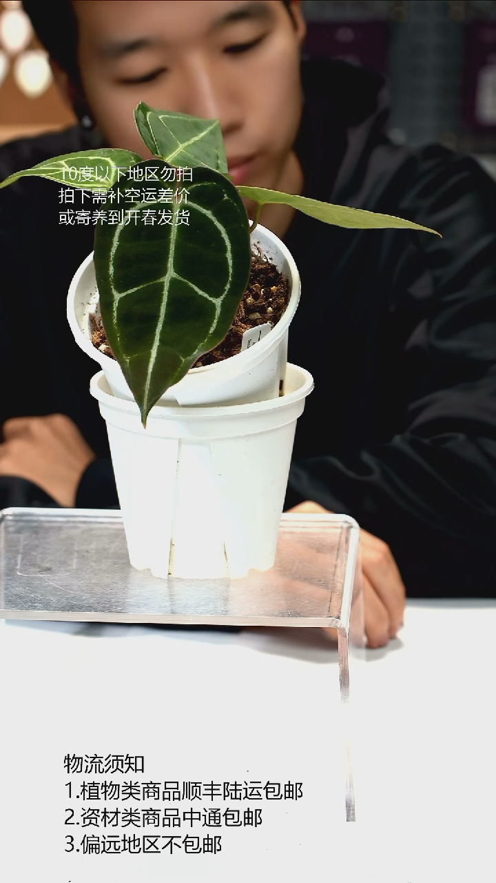 完全开放黑水晶 x SKG 02