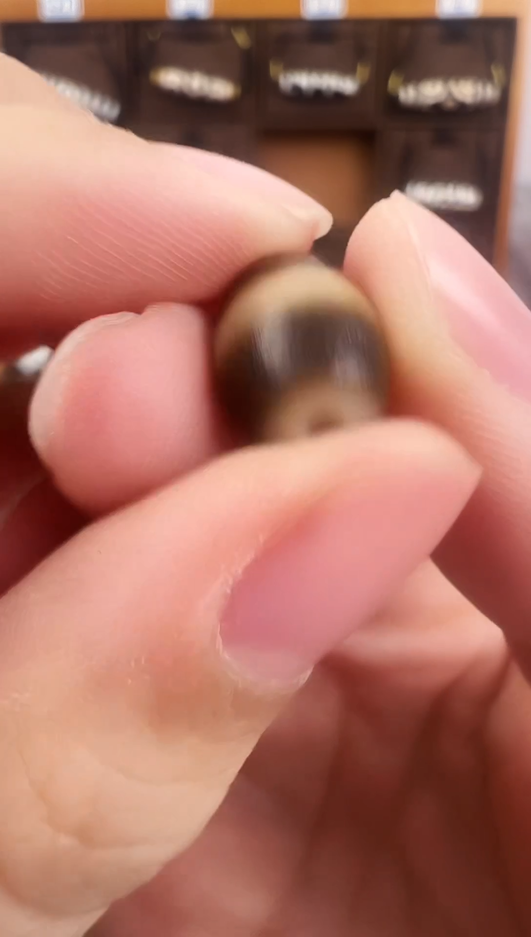 玛瑙/玉髓（覆膜）颈饰未镶嵌213微瑕