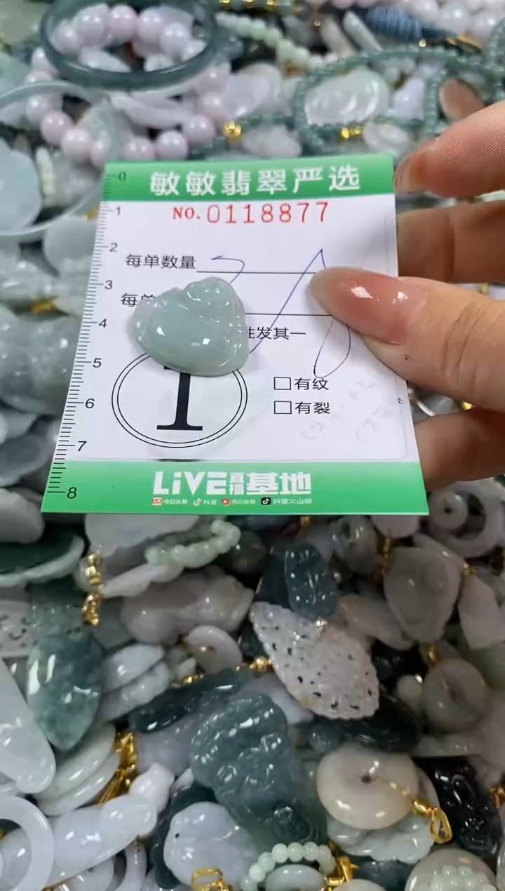 【闪购商品】翡翠颈饰未镶嵌闪购0118877