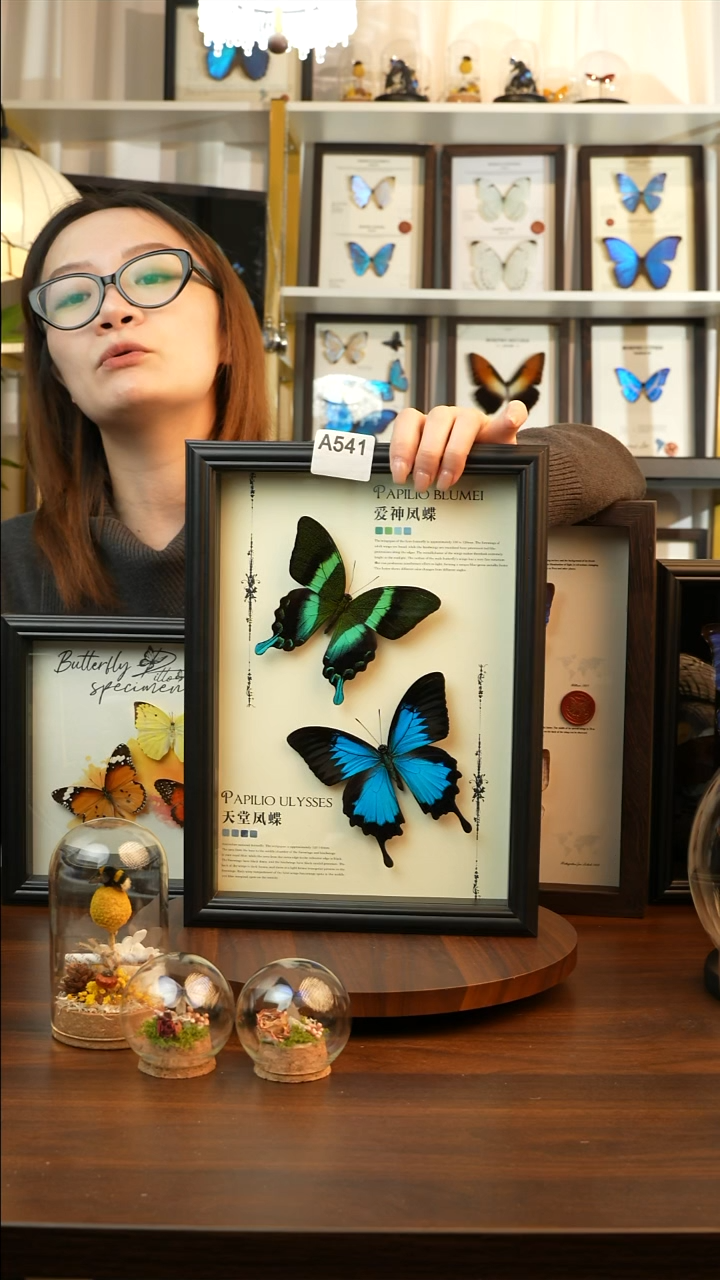 爱神凤蝶天堂凤蝶组合款(A4欧式黑框)A541