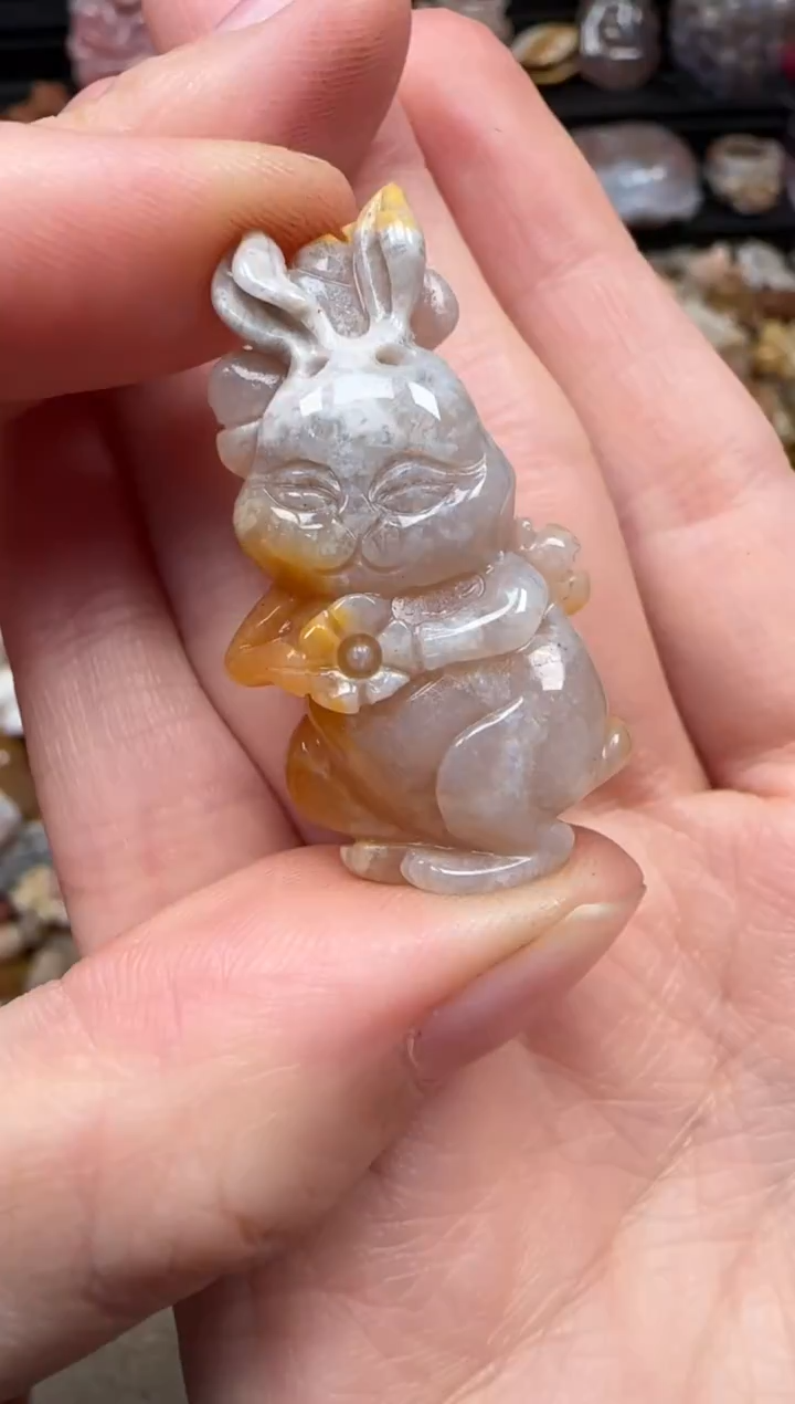 颈饰未镶嵌硅化珊瑚（珊瑚玉）299