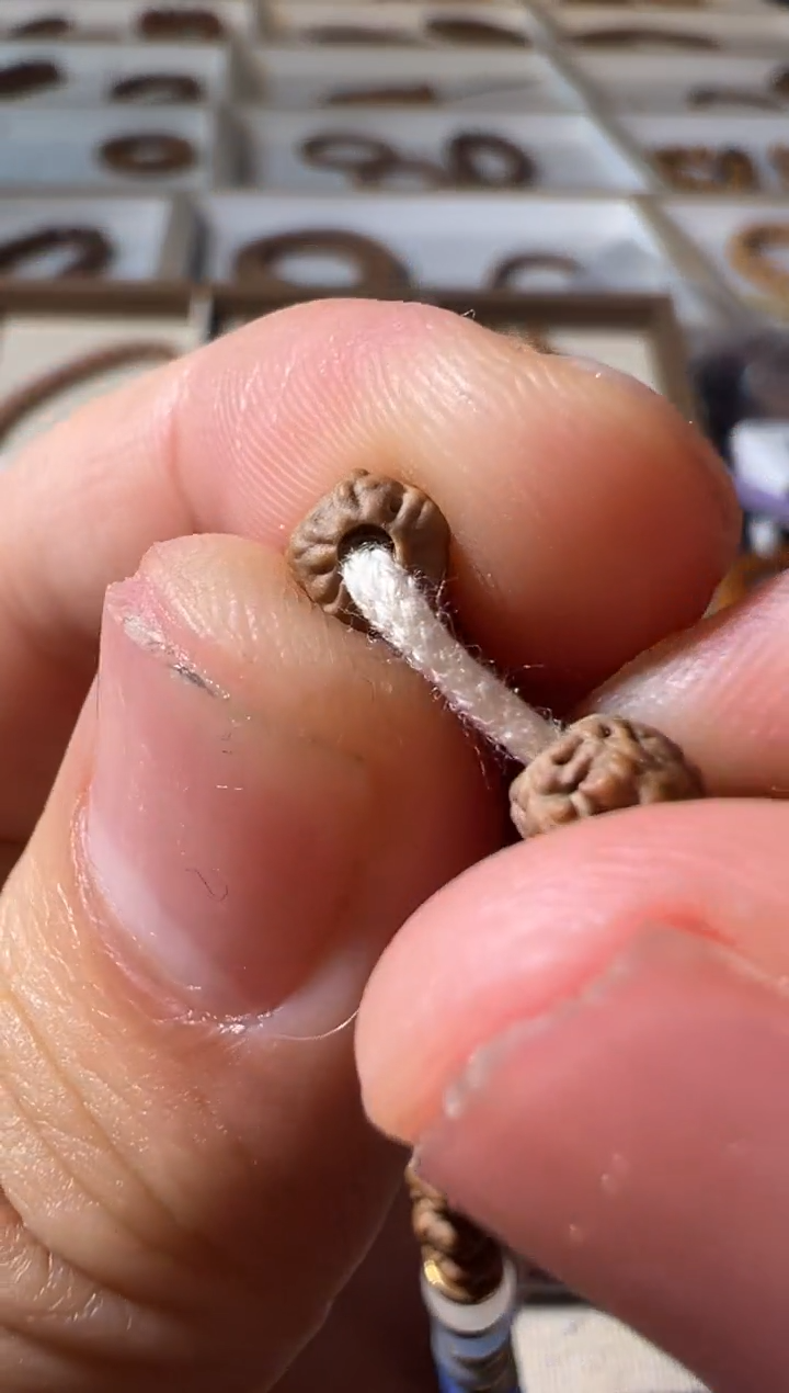 金刚菩提手串原桩佛手长串带配饰款5-6左右