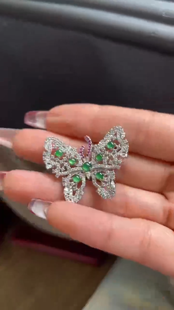 【闪购商品】翡翠颈饰未镶嵌      *77