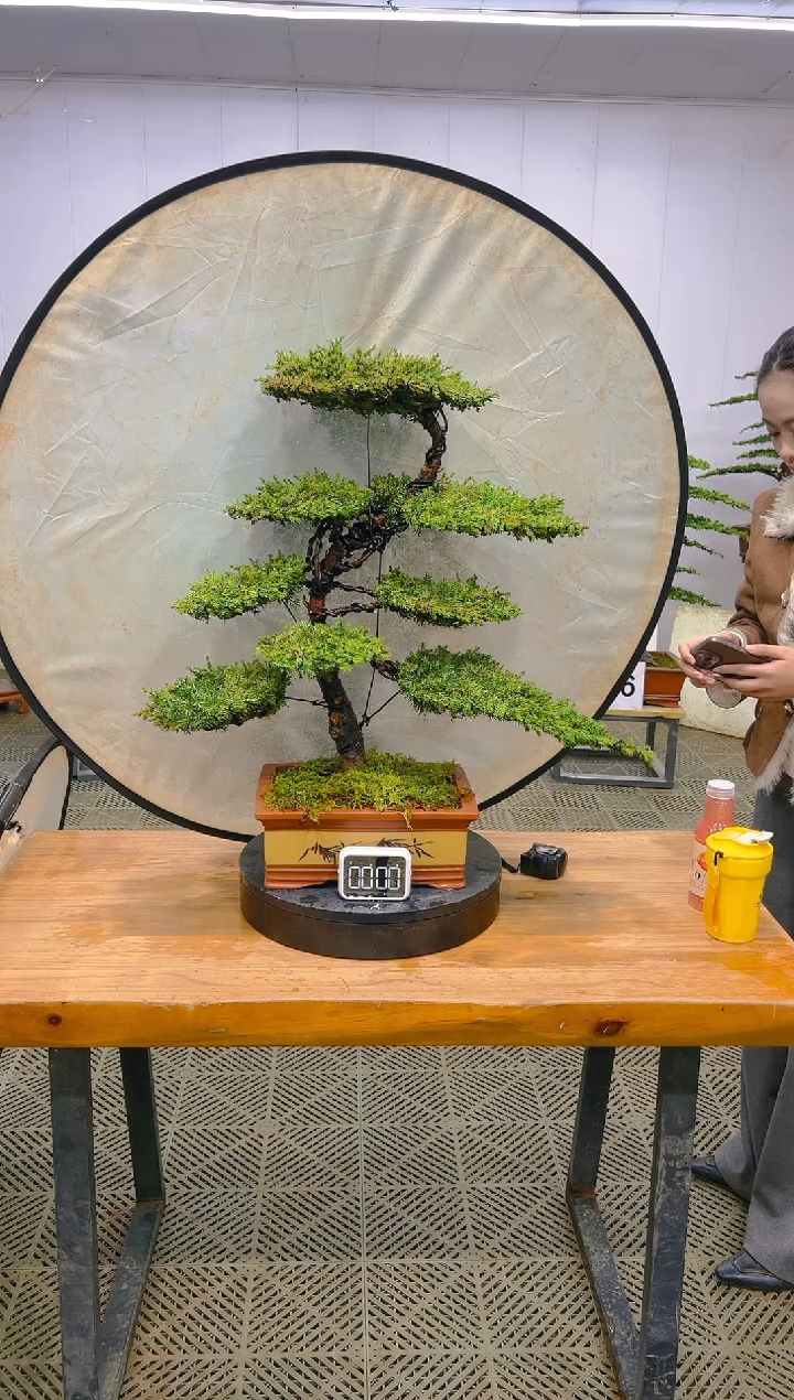 无花朵一物一拍一物一拍