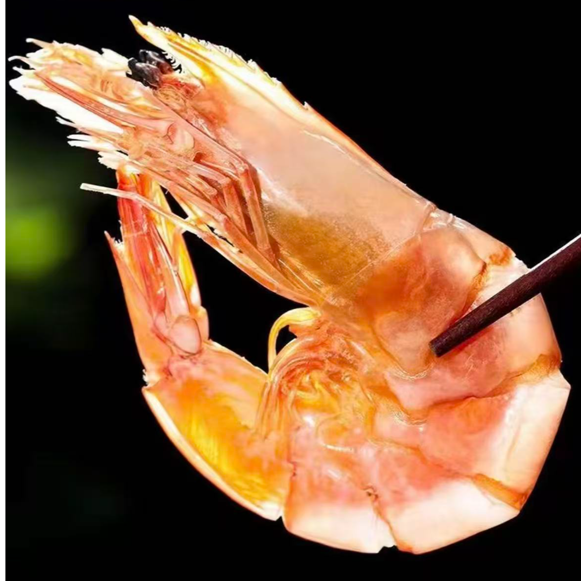 渤海盐田海水烤虾干即食活虾现烤香酥海鲜干货生态盐™️田