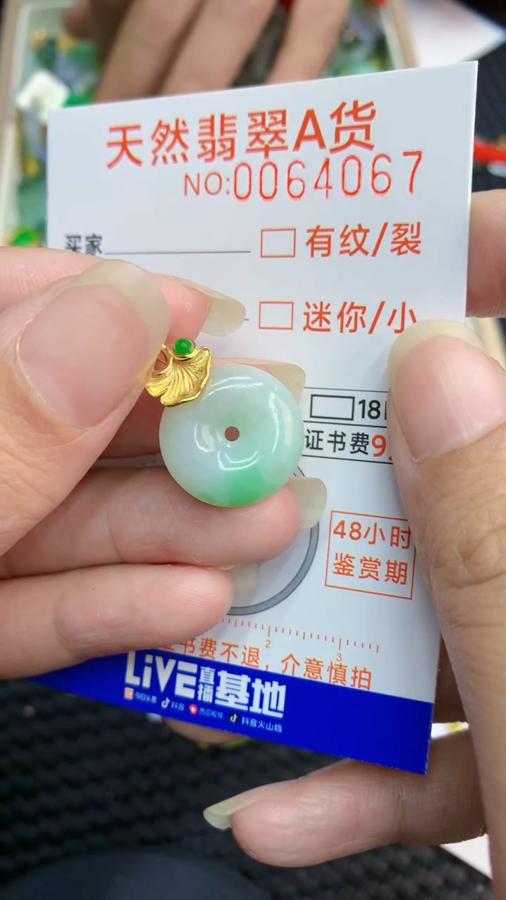 【闪购商品】翡翠颈饰银S925镶嵌            8