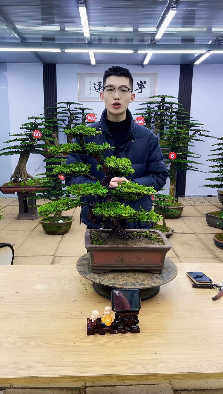 【闪购商品】0000000