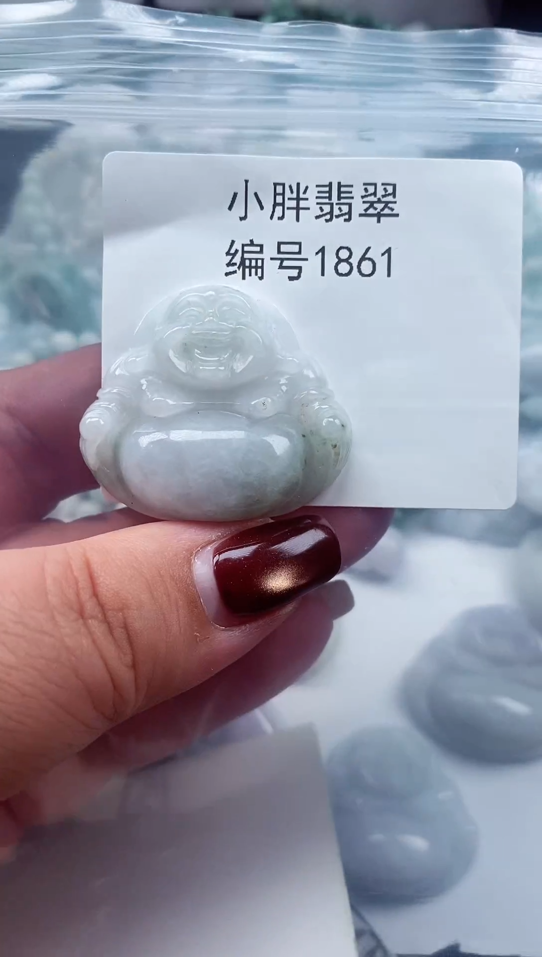 颈饰未镶嵌翡翠缅甸天然A货翡翠1861