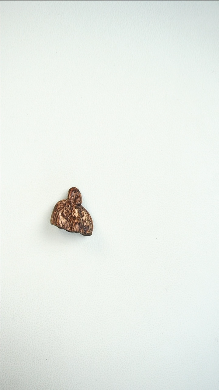 【闪购商品】沉香吊坠达拉干沉水 莲蓬 2383