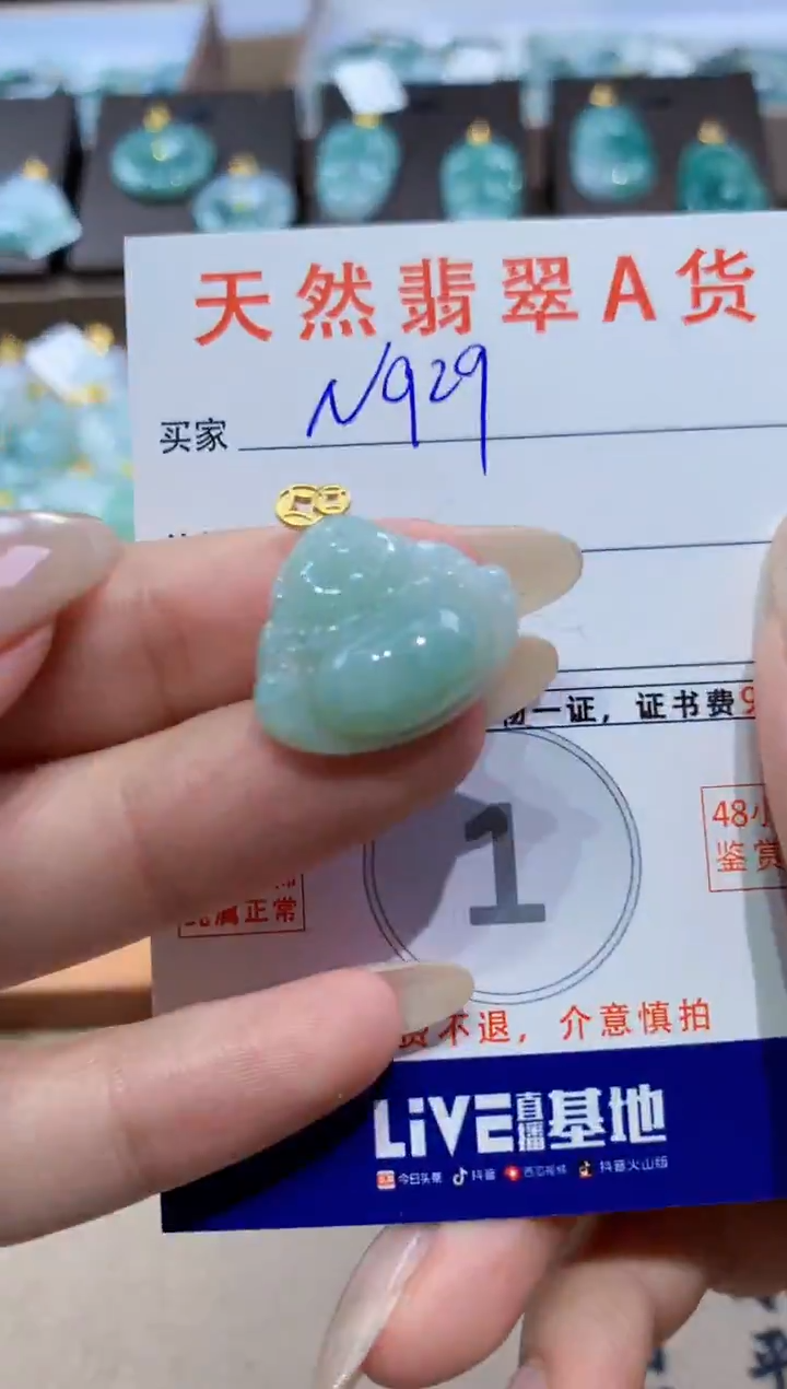 颈饰未镶嵌翡翠天然缅甸翡翠A货挂件 