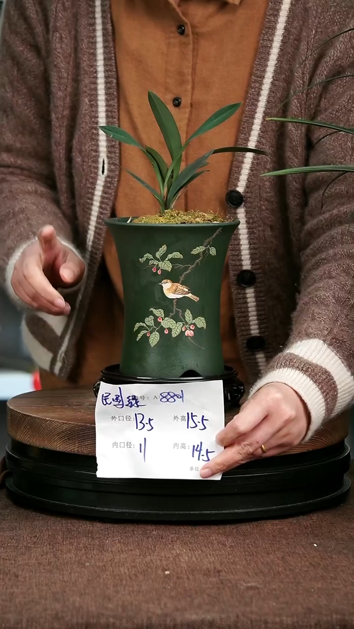 紫砂花盆花卉园艺8801+S