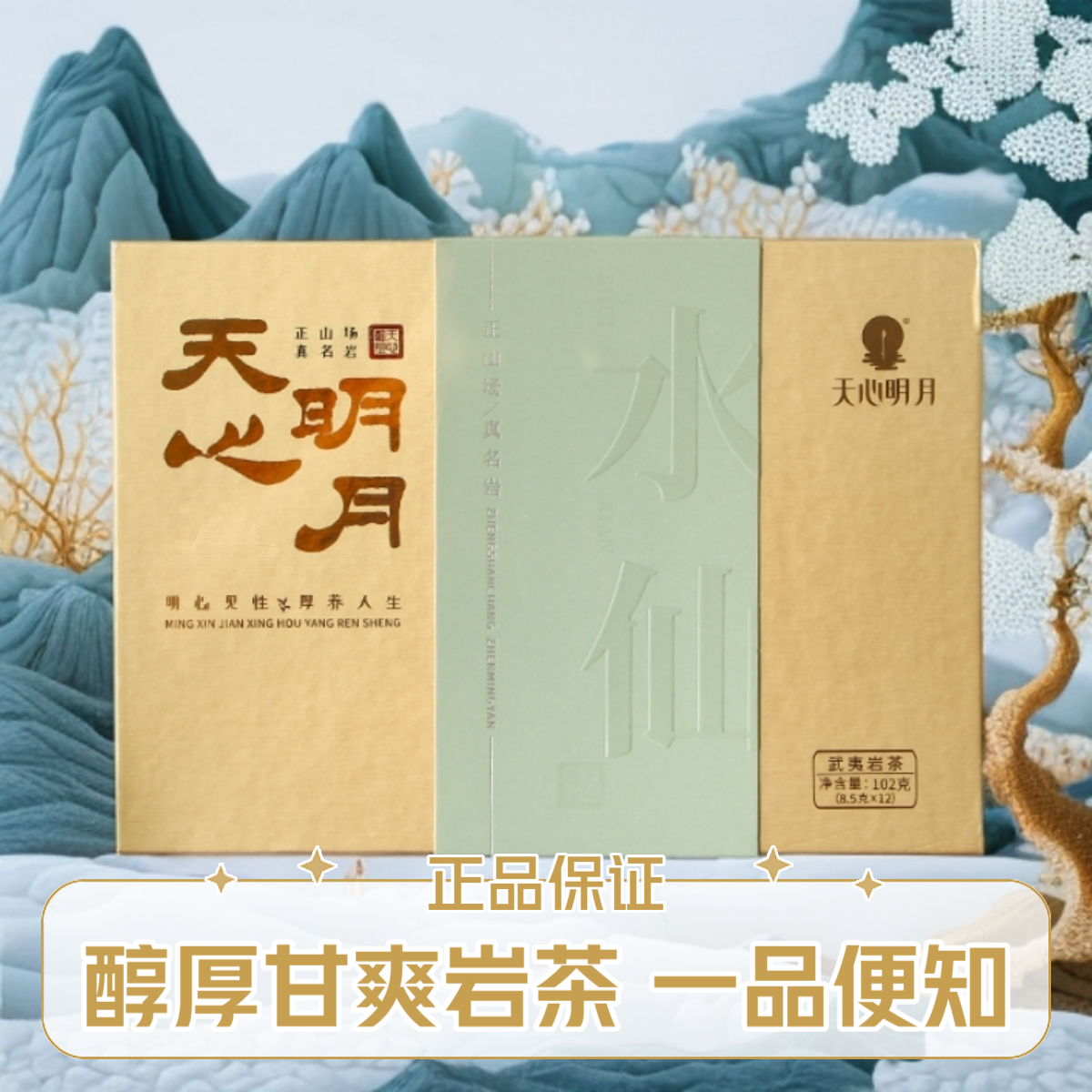 天心明月水仙武夷山岩茶乌龙茶102g12泡工作茶礼盒装口粮茶岩茶