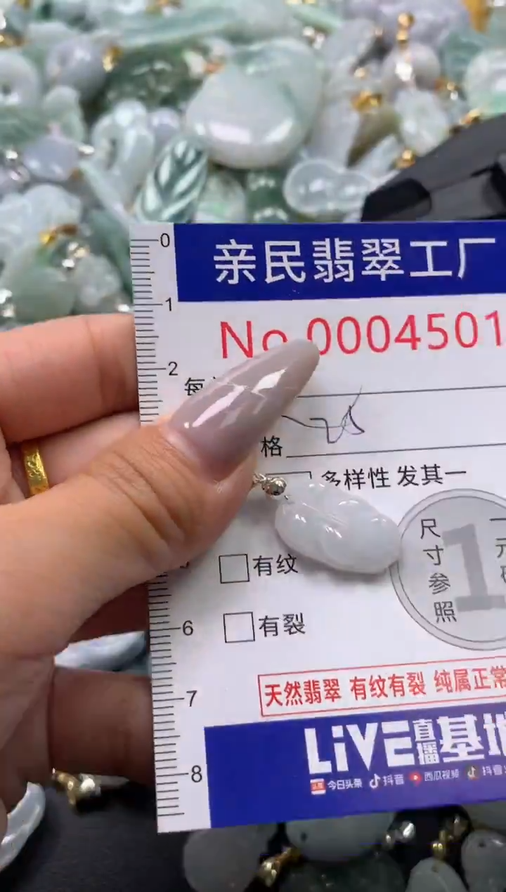 颈饰未镶嵌翡翠4501