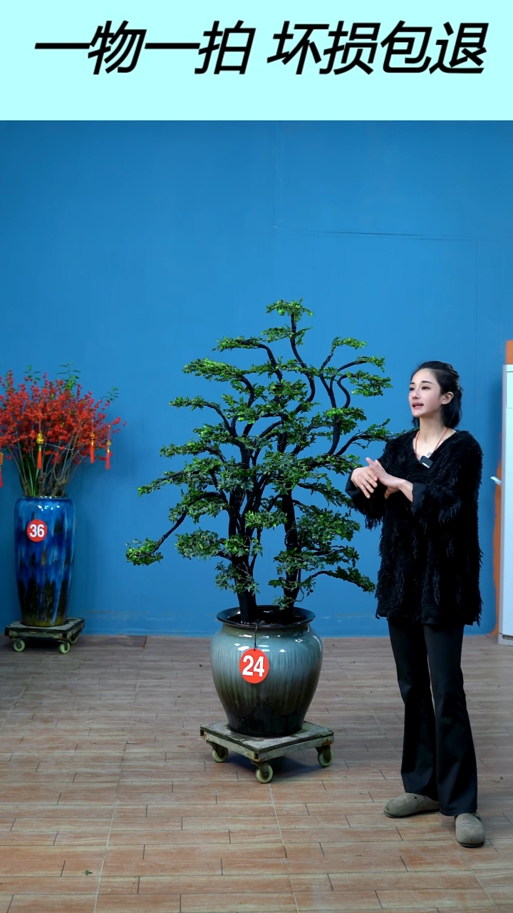 无花朵半****）广东小叶紫檀