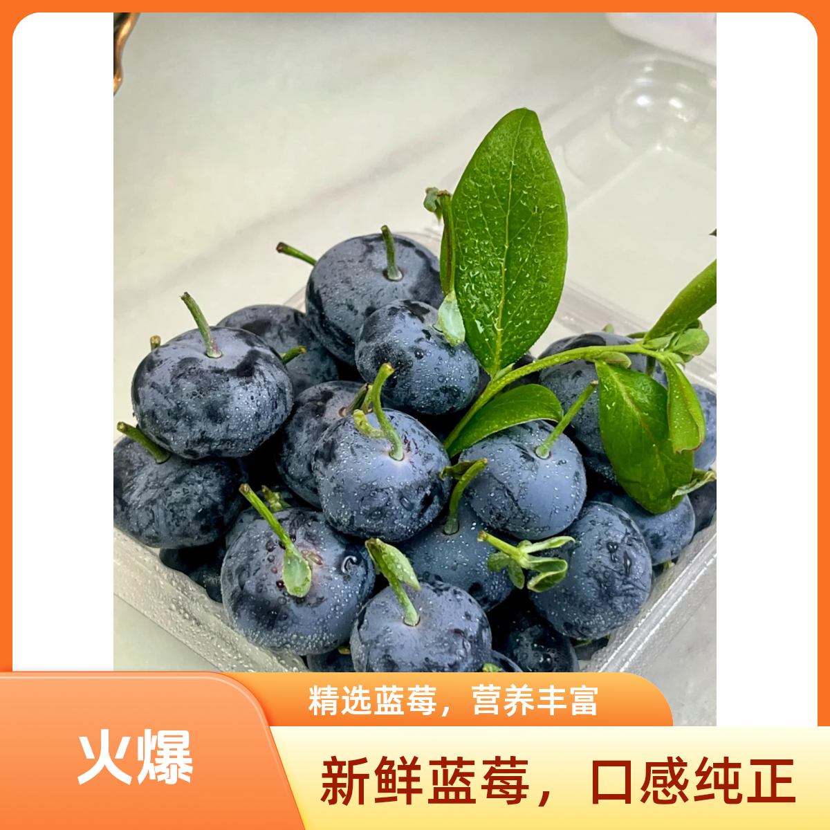 天津蓝莓1盒125g（12-15mm）天津市