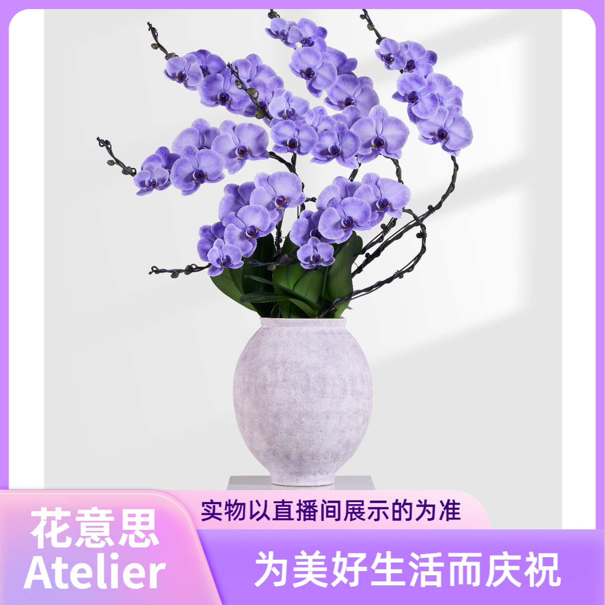 花意思【1980链接】兰花室内蝴蝶兰艺术盆景一物一拍-客厅玄关公司