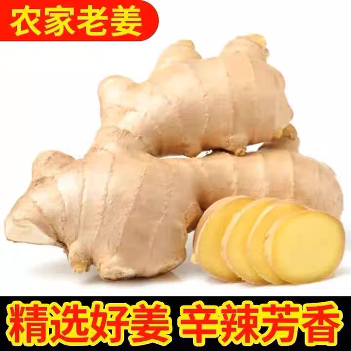 新鲜生姜老姜正宗山东大姜老黄姜风干姜月子姜无硫熏姜块农家菜姜