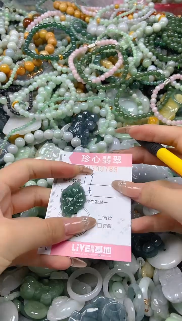 翡翠未镶嵌颈饰闪购0309789