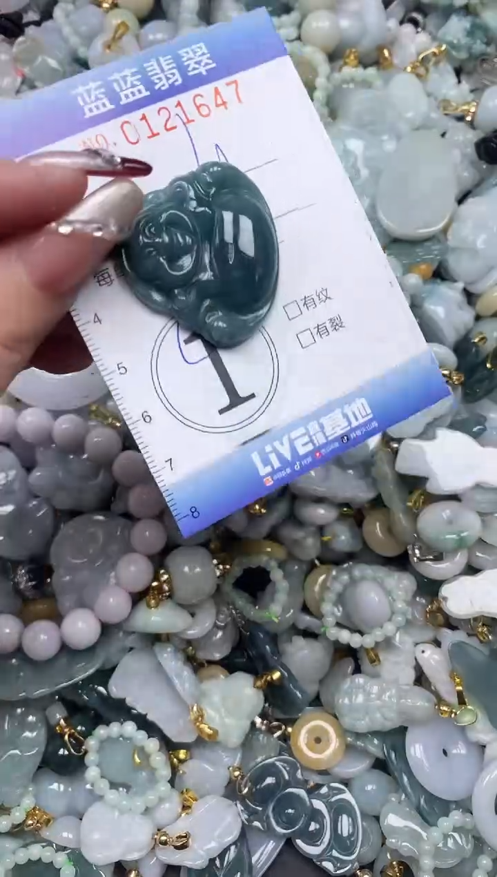 【闪购商品】翡翠颈饰未镶嵌闪购0121647