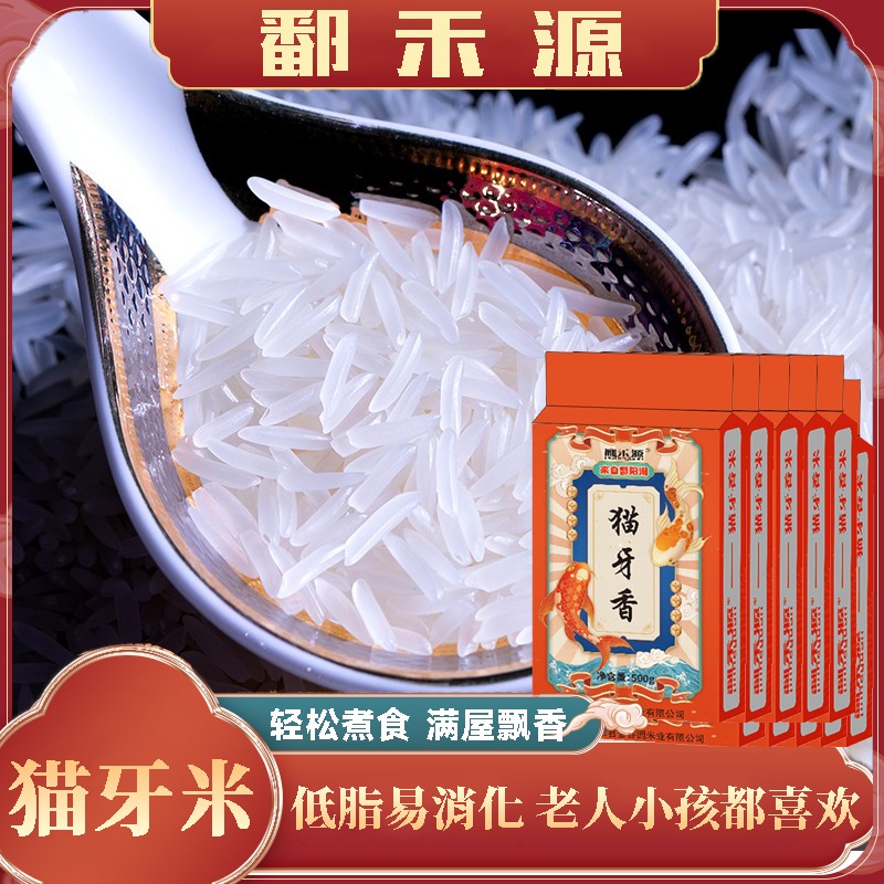 2025年新米真猫牙香米优质长粒猫牙米香米生态南方大米真空包装米