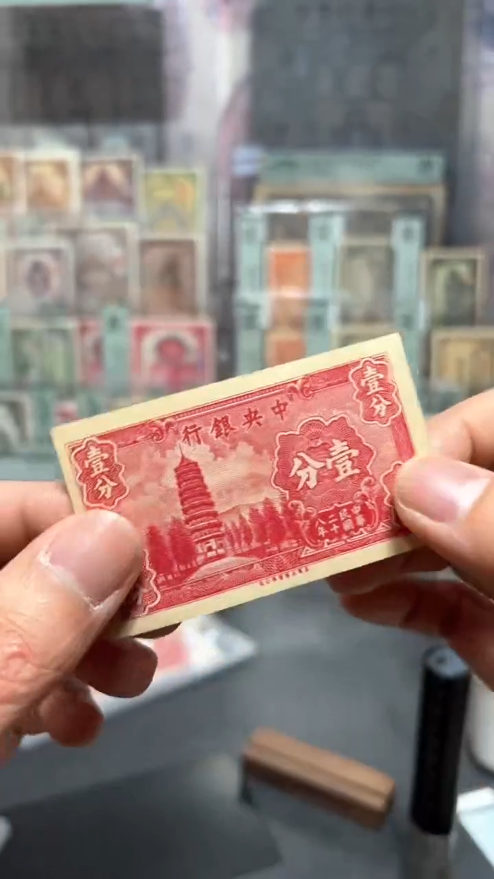 【闪购商品】纸小马直播间包邮福利！！！黄