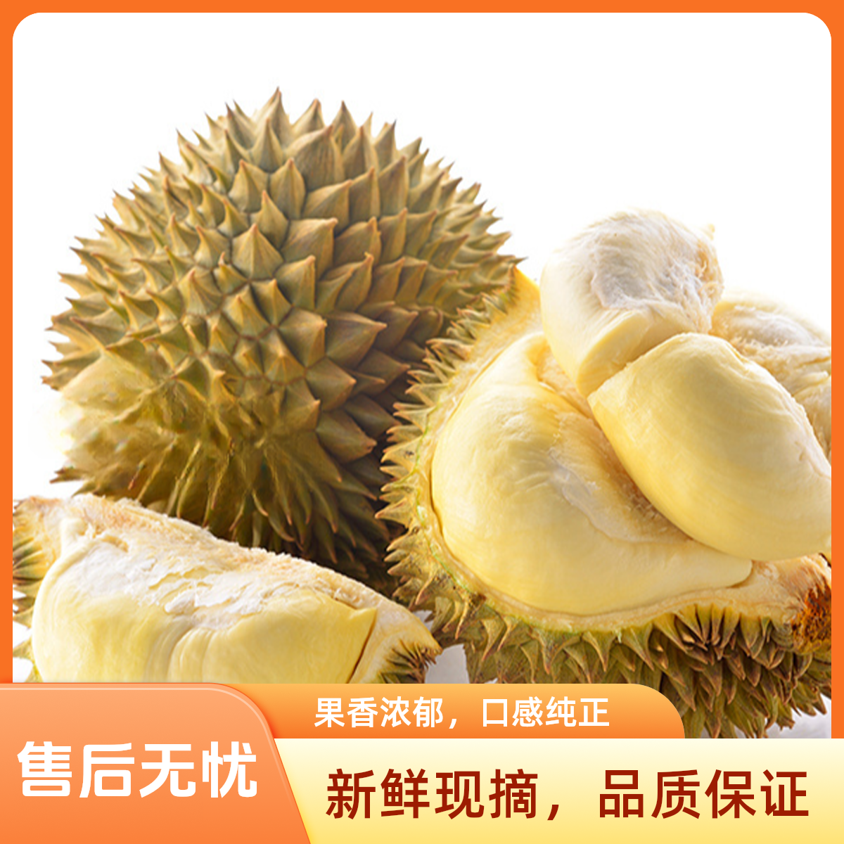 【贵阳精选】树熟金枕