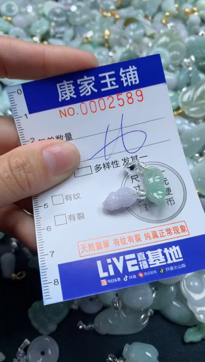 颈饰未镶嵌翡翠2589